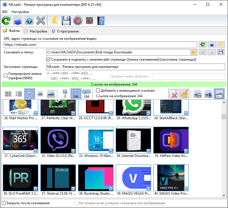 Bulk Image Downloader для Windows