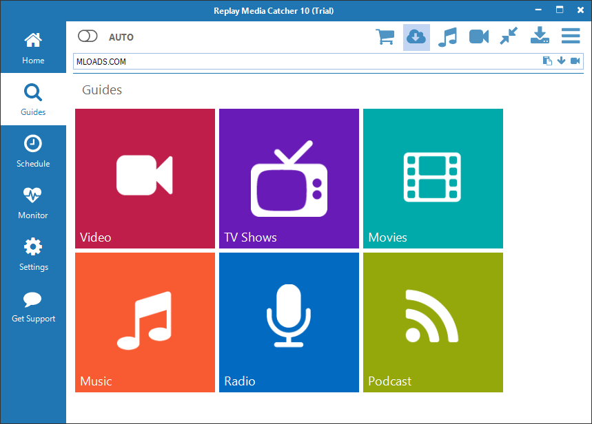 Applian Replay Media Catcher на русском