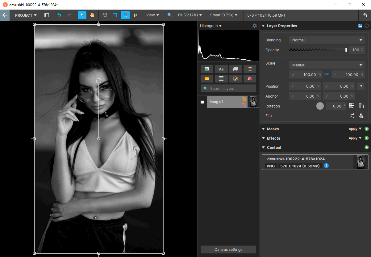 Vegas Image для Windows