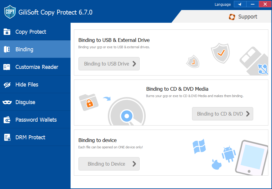Gilisoft Copy Protect для Windows