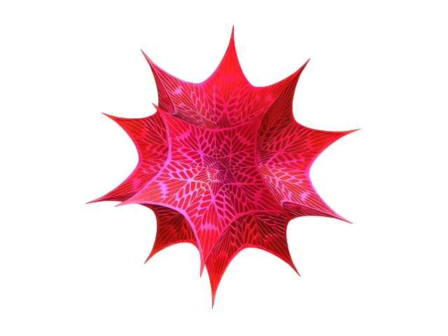 Wolfram Mathematica 14.2.1