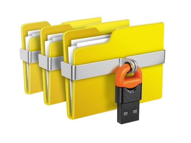 Secret Disk Professional 2025 308